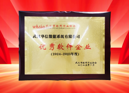 喜讯丨DB真人旗舰 DB数据获评2024~2025年度武汉市软件行业&ldquo;优秀企业&rdquo;、&ldquo;优秀工作者&rdquo;荣誉称号！